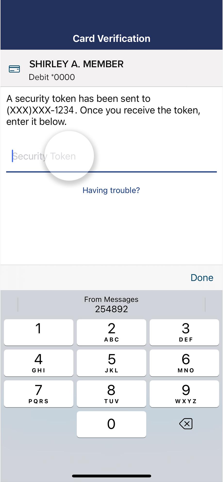 Civic app screen with a security token field where you can add the token.