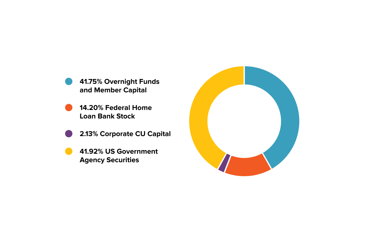 2025 Investment portfolio mix.