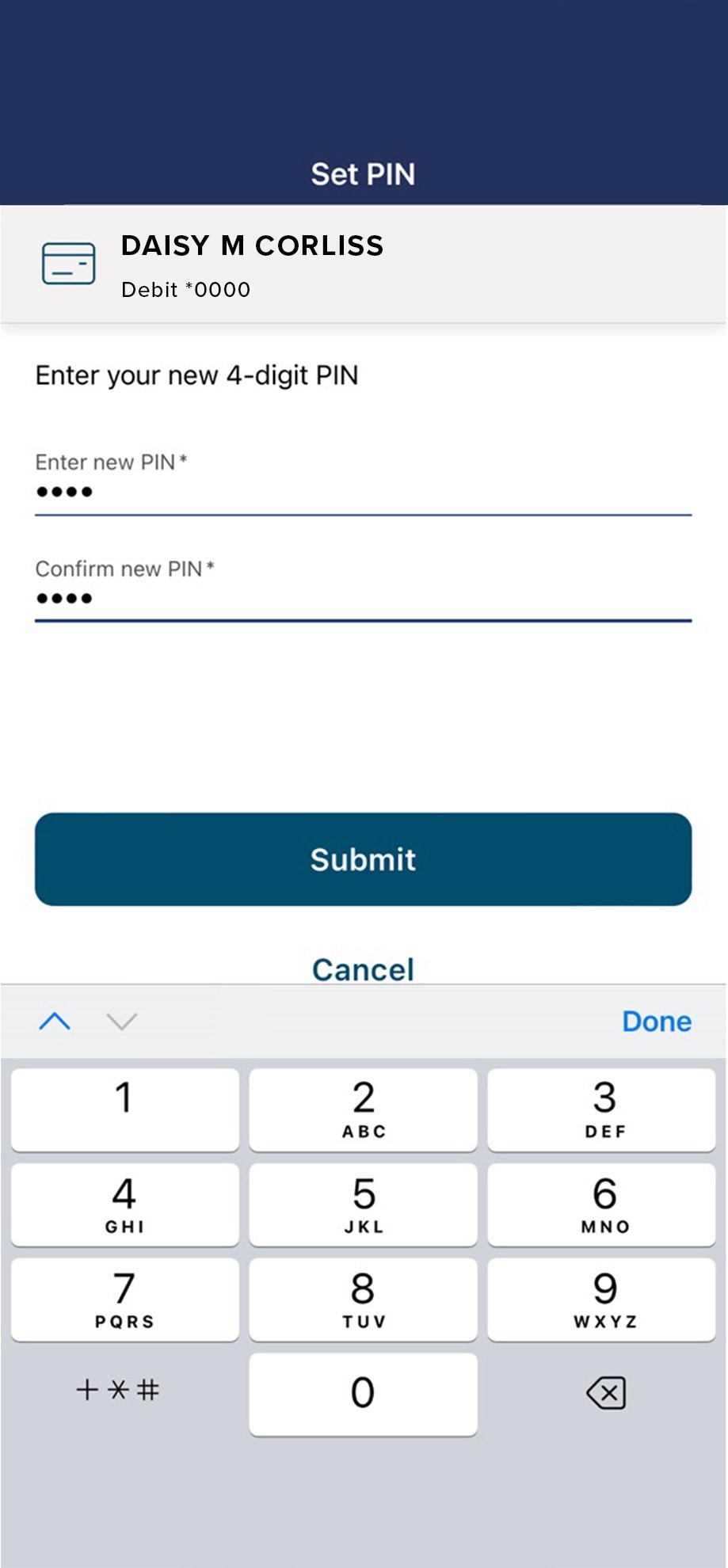 Civic app screen that shows the fields for pin input.