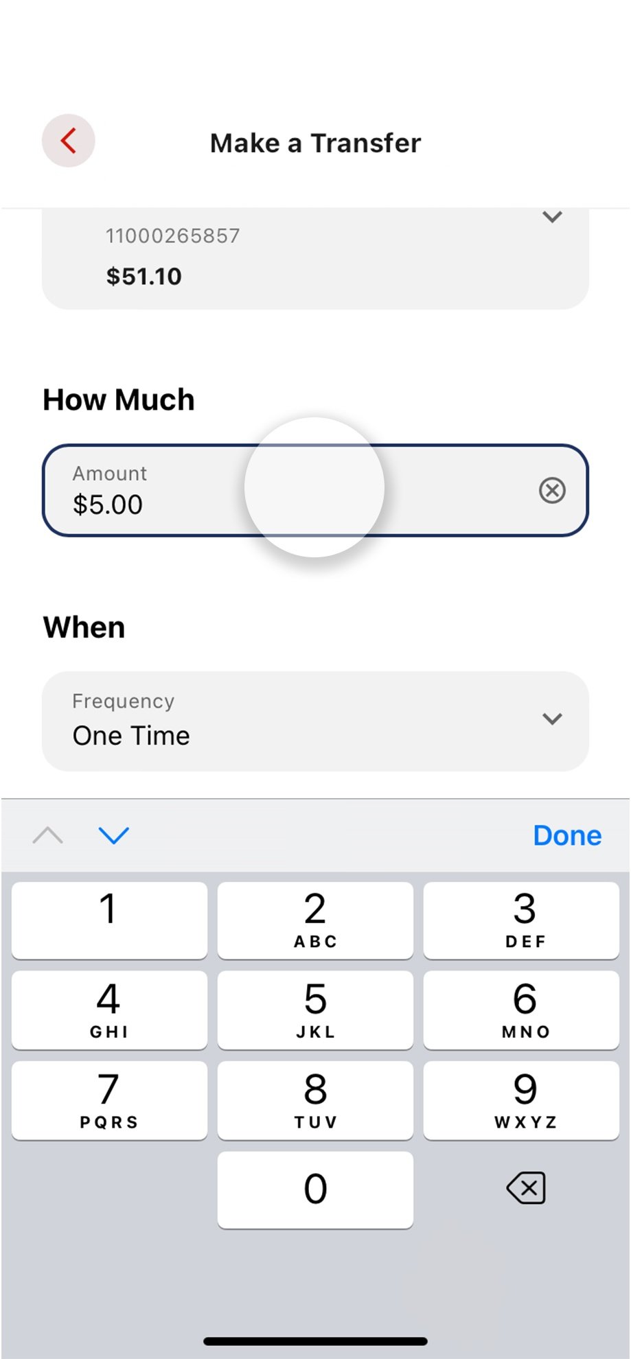 Civic app screen that highlights the input of the cash amount.