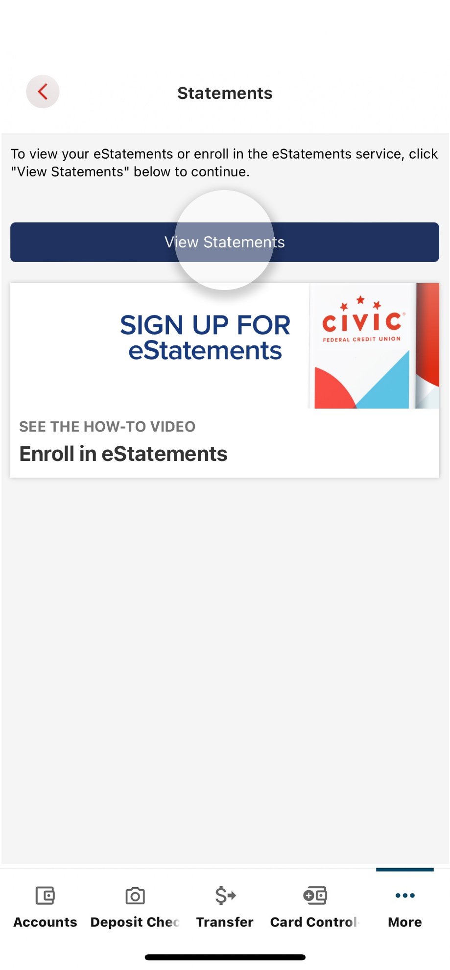 Civic app screen that highlights the selection view statements.