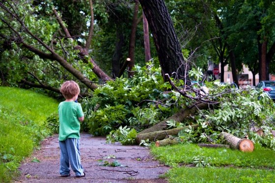 Child looking over the storm damage in front of their house