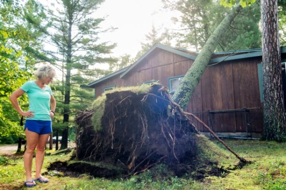 Woman looks at a downed tree leaning on her house