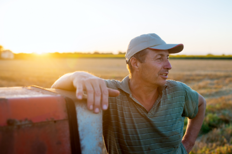 small business farmer looking out over his farm and enjoying his Civic Business Money Market.