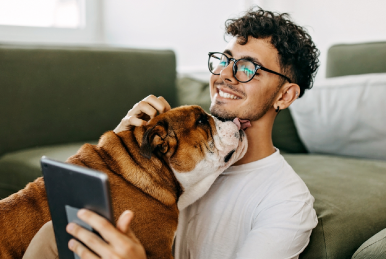 A young guy examines the NCUA Share Insurance page on his tablet, while his adorable bulldog playfully licks his chin.